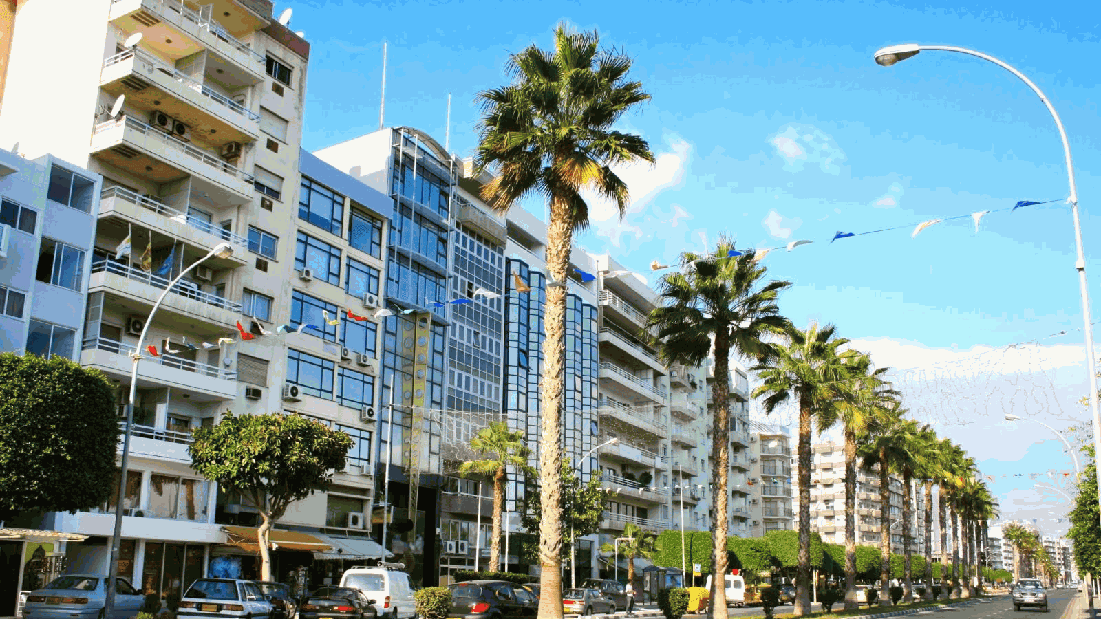 Una strada in riva al mare con edifici moderni e palme al sole.