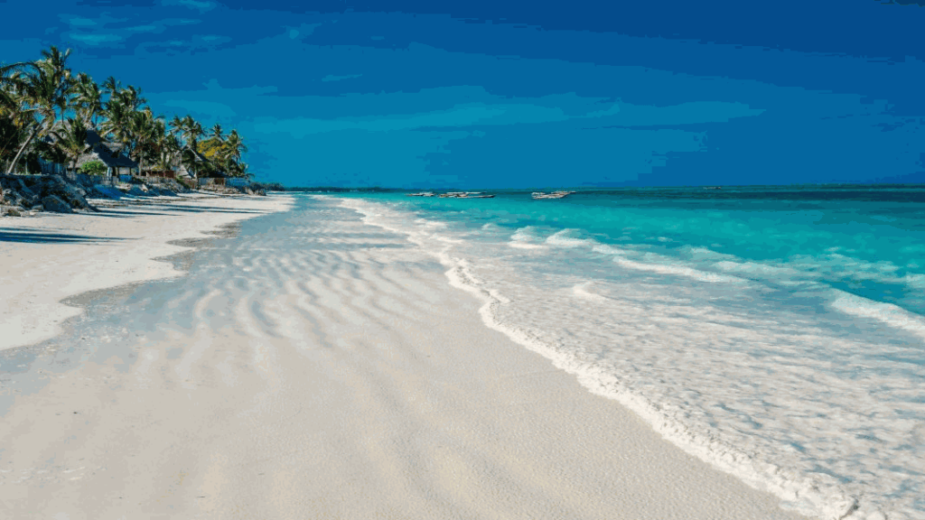 I 5 quartieri più popolari di Zanzibar per vivere e investire