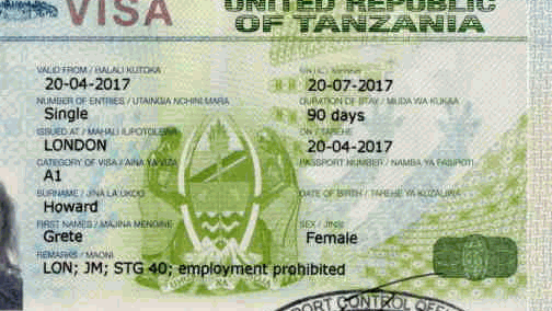 Vida em Zanzibar: o que precisa de saber antes de se mudar